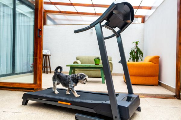 Treadmill Installation in Duluth