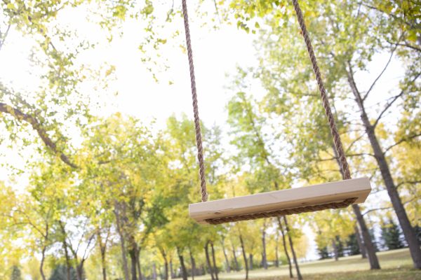 Tree Swing Installation in Duluth