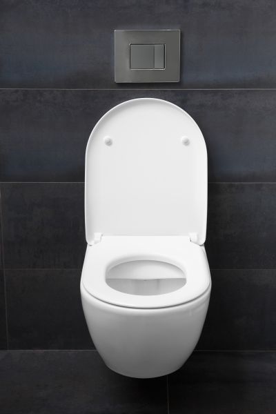 Toilet Lid Installation in Duluth
