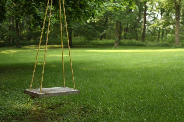 Rope Swing Installation in Duluth