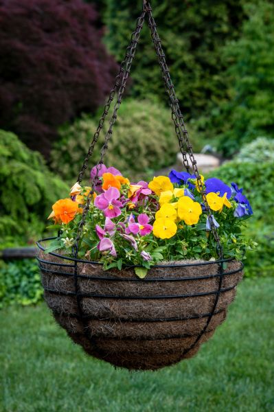 Hanging Basket Installation in Duluth
