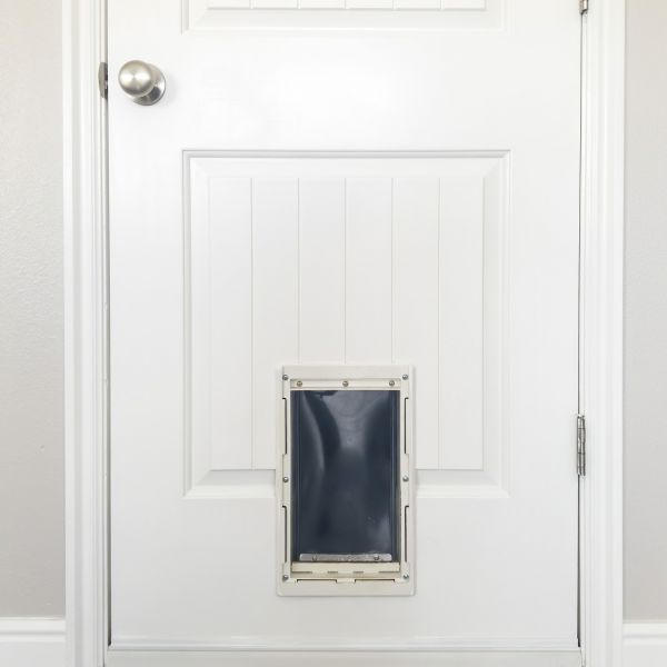 Pet Door Repair in Duluth