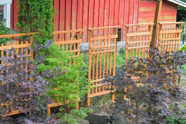 Wood Trellis Mounting in Duluth