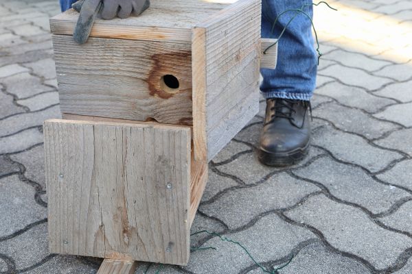 Birdhouse Mounting in Duluth