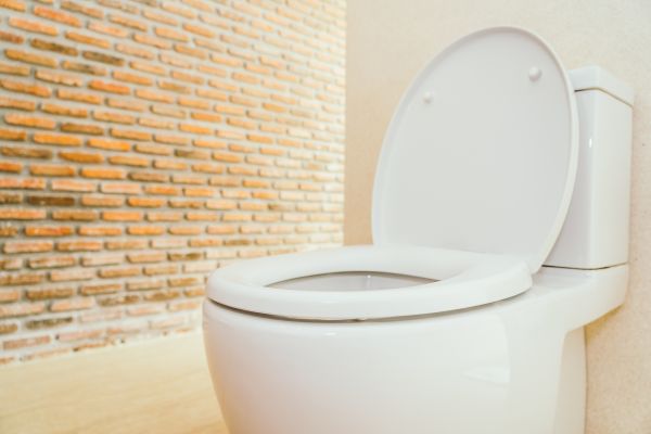 Toilet Seat Repair in Duluth