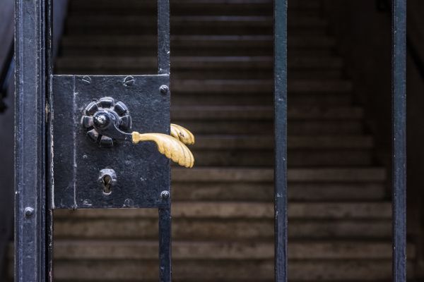 Gate Handle Replacement in Duluth